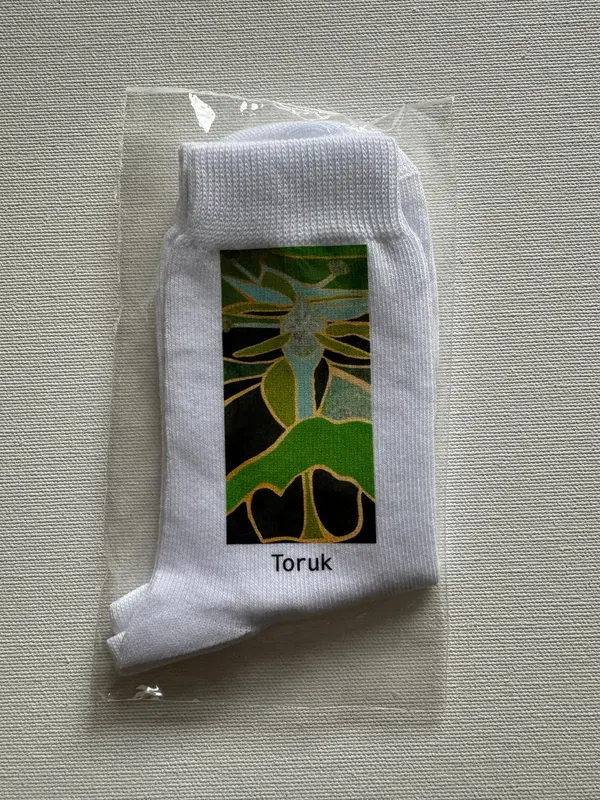 Vaikiškos kojinės ,,Torukas"