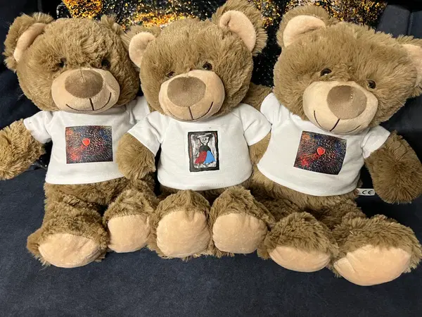 Pliušinis meškiukas ,,Pakeleivis" 3